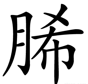 脪